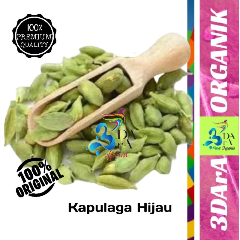 

Kapulaga Arab 100gr Premium Asli Tanpa Campuran - Kapulaga Hijau - Kapulaga India