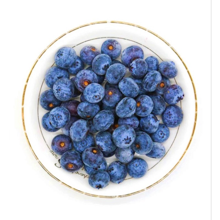 

Cahayadstore Blueberry Frozen Iqf Premium -Best Seller-& Best Price-