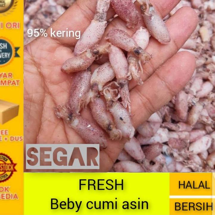 

✨12.12✨ Cumi beby 0,5cm - 2cm / Baby cumi asin 1kg/ Bahan sambal cumi 