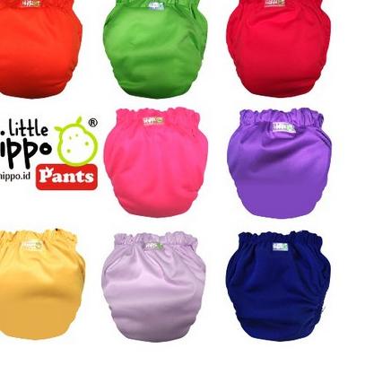 ✨Promo✨ Hari Ini rcoal Eco Clody Ningrat Klodiz Nadnad Clodi AIO Pant Popok Kain Bayi Merk Little Hi