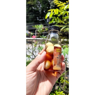 MADU BAWANG PUTIH TUNGGAL/LANANG 100 GR