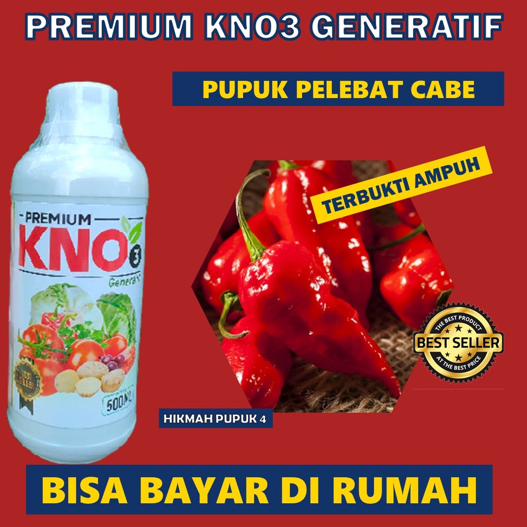 PUPUK KNO3 GENERATIF CABE BIAR BESAR DAN BANYAK - Pupuk Organik Cair Cabe Pelebat Tanaman Cabe Tumbu