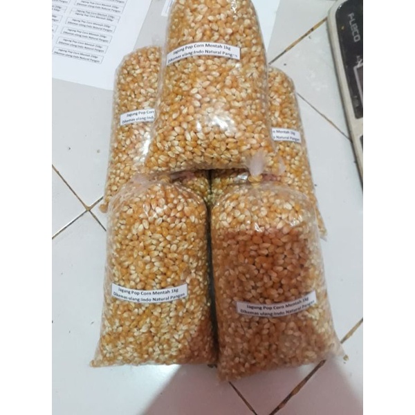 

Jagung Pop corn mentah