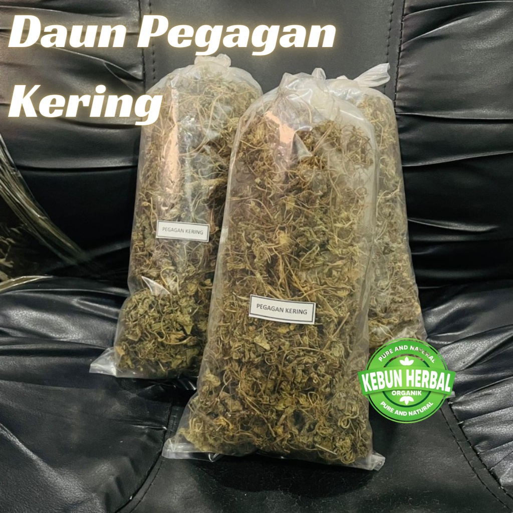 

Herbal Daun Pegagan Kering | Antanan kering