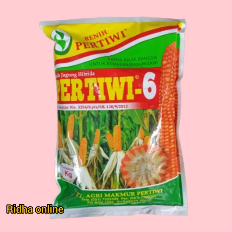 Benih Jagung Hibrida Pertiwi 6 1kg - Bibit Jagung Hibrida,Benih Bibit Jagung PERTIWI 6 Hibrida F1