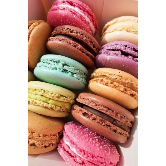 

MARMUT ( MACARON IMUT)✨
