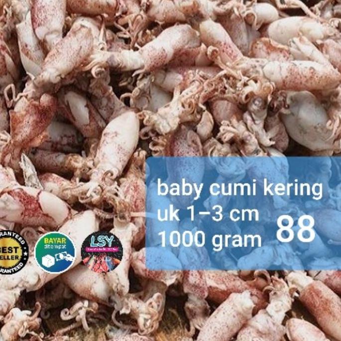 

✩ ikan asin baby cumi / cumi rebus kering 88 berat 1kg ←