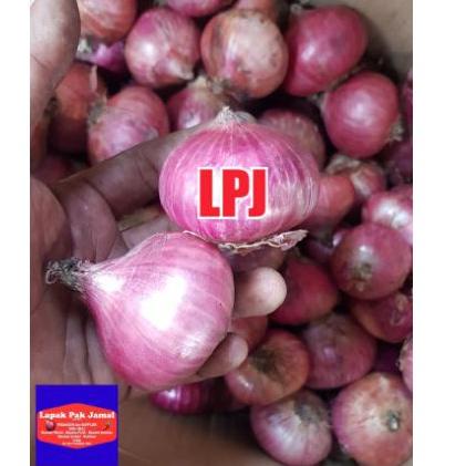 

Star 6.6 Bawang MERAH PEKING - 1 Kg - LPJ