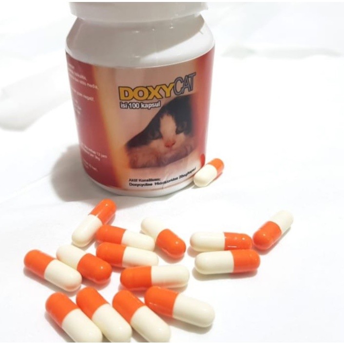 Obat Flu Kucing Doxy Cat Ecer 1capsul DoxyCat Antibiotik Doxi Cat