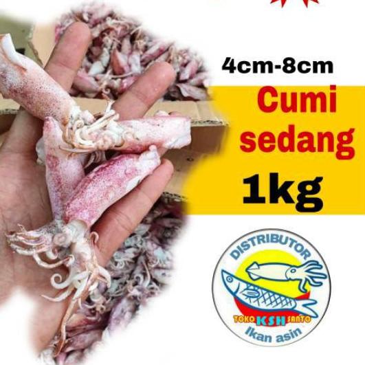 

✲ Ikan asin cumi-1kg ☂