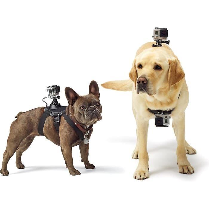Action Cam Fetch Dog Harness Strap for SJCAM / GoPro Series