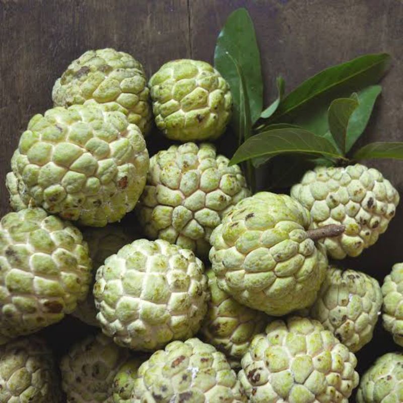 PROMO  BUAH SRIKAYA 1KG