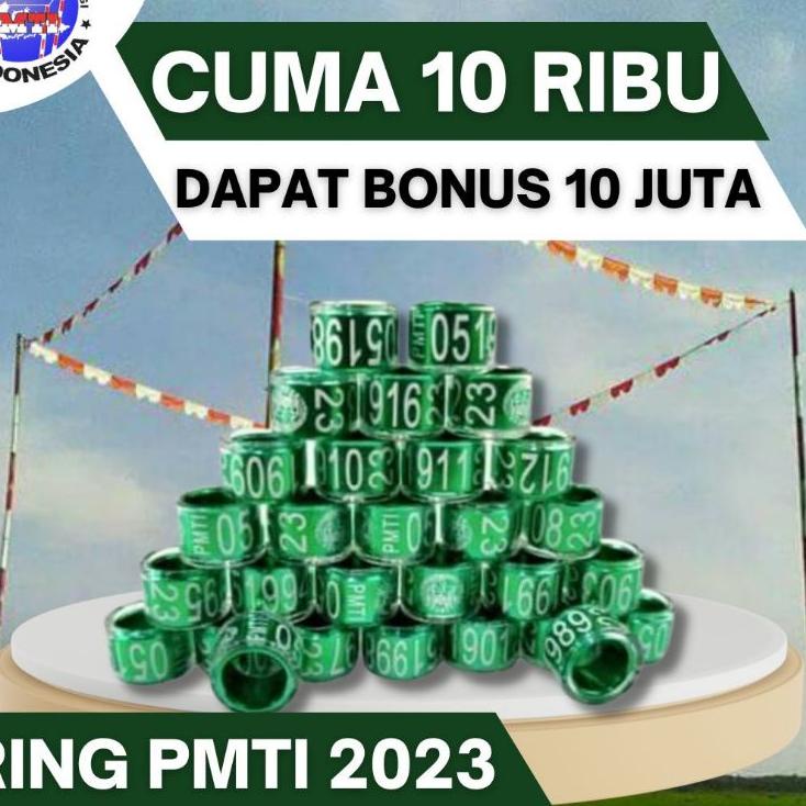 Terlaku.../ ring pmti 2022 || ring merpati minimal 5 biji