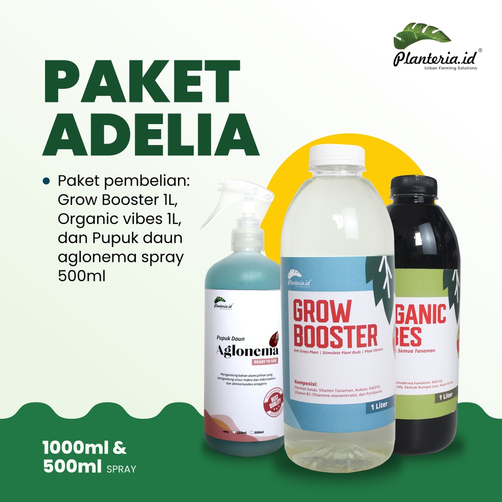 Pupuk Organik Vitamin B1 Aglonema Paket Adelia