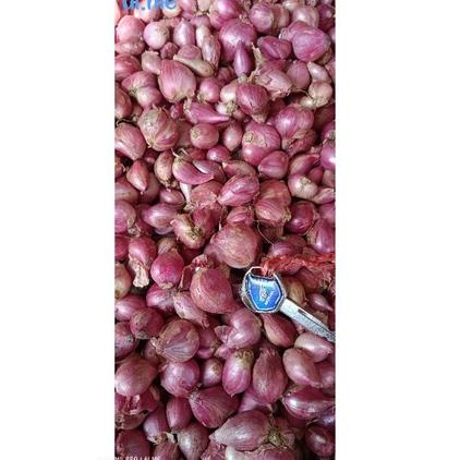 

M23 Bawang merah probolinggo ukuran campur 250gr - 1kg WOW BANGET ェ
