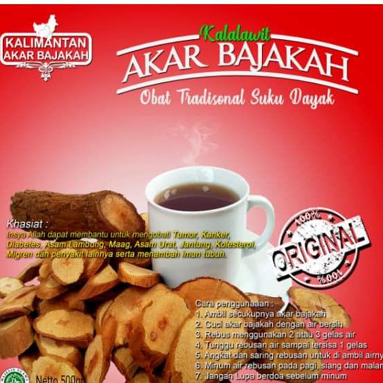 

(COD) akar kayu bajakah kalimantan 1kg [PROMO HARI INI]