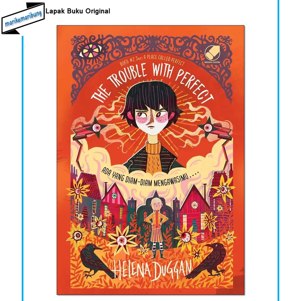 Novel The Trouble With Perfect