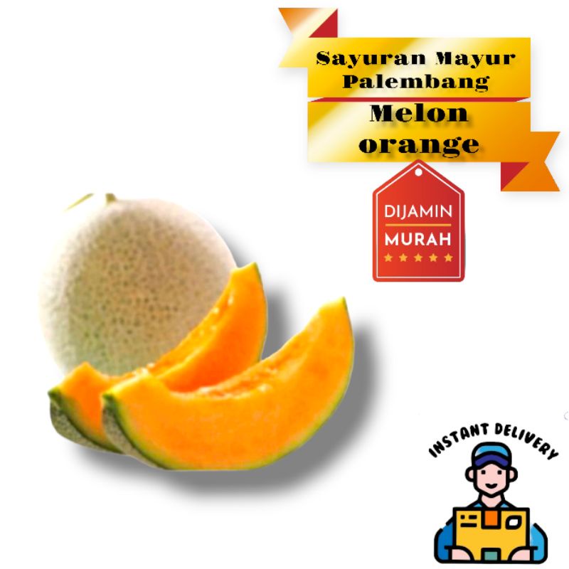 Jual Melon Orange Palembang Shopee Indonesia 