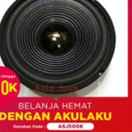 ♟ Speaker ACR CURVE Woofer 10 Inch ❃