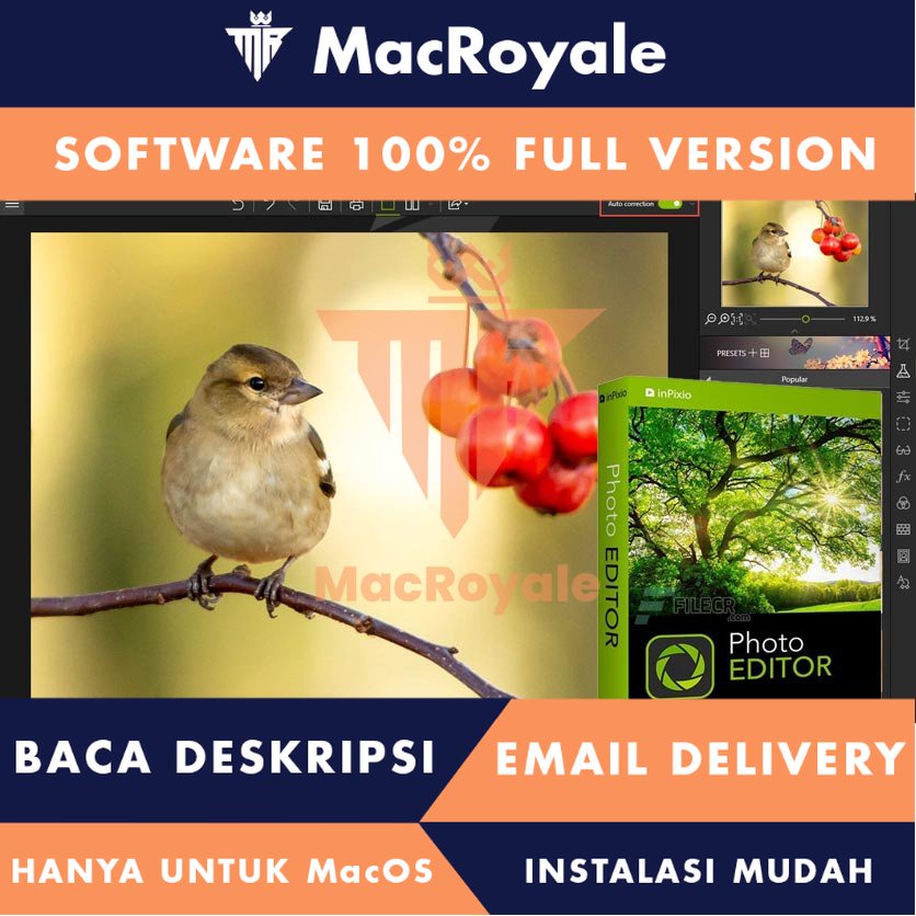 [MacOS] InPixio Photo Editor Full Version Lifetime Full Garansi