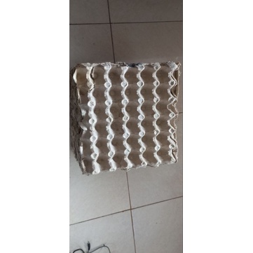 Egg Tray / Tempat telur karton murah