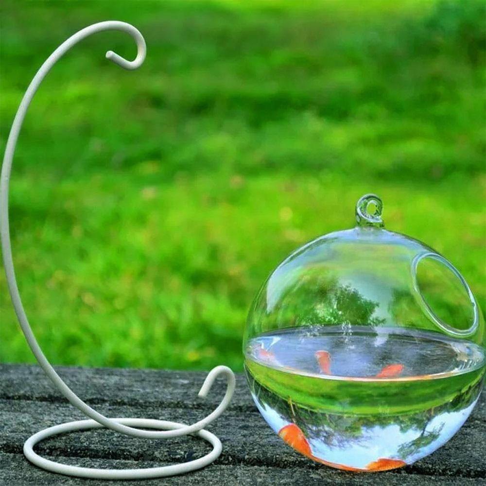 Solighter Hanging Glass Fish Bowl Dekorasi Rumah Kerajinan Kaca Hiasan Aquarium Hiasan Dinding Dengan Rak Holder Hidroponik Vas Fish Bowl