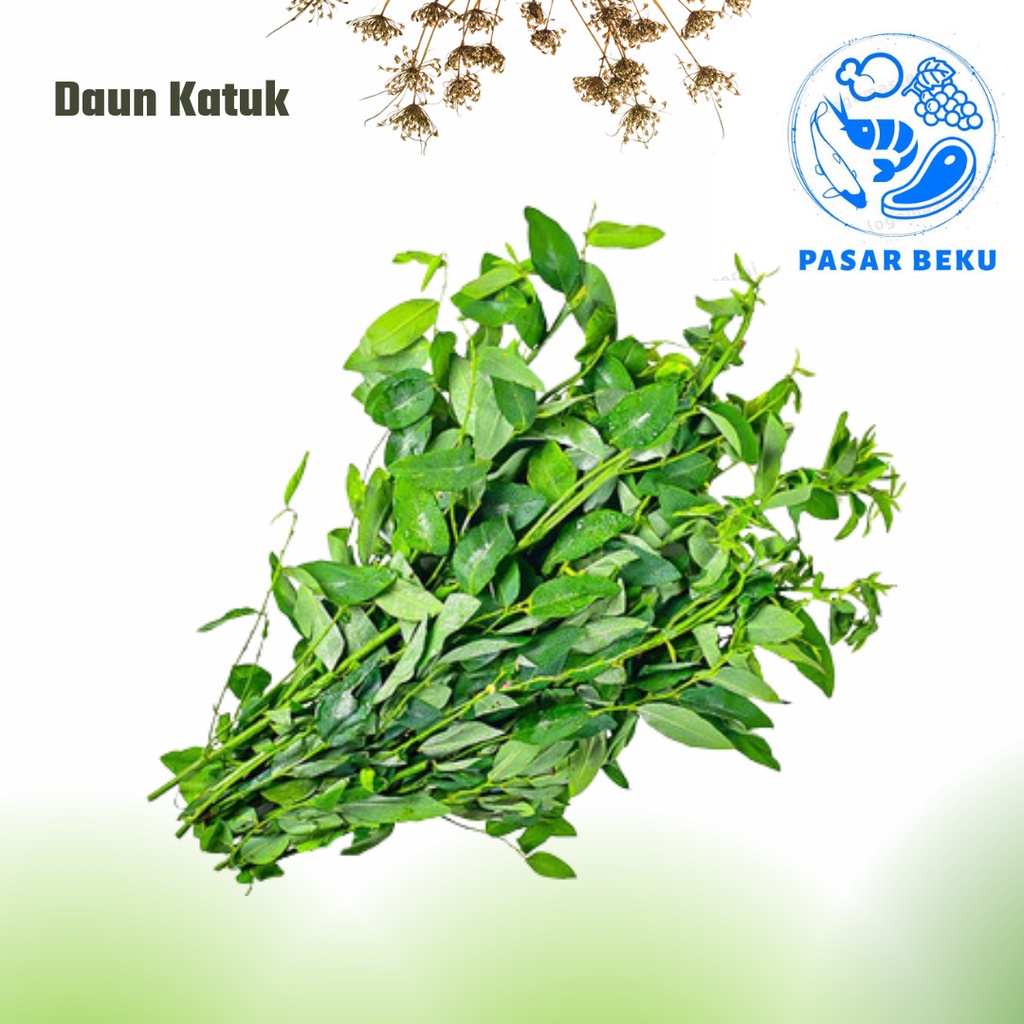 

Sayuran Herbal Daun Katuk Per-Ikat Fresh Pasar Beku Padang