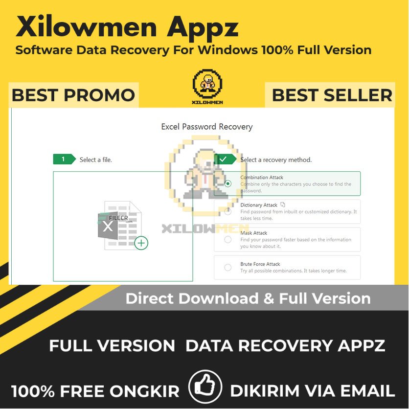 [Full Version] Passper for Excel Pro Lifetime Data Recovery WIN OS