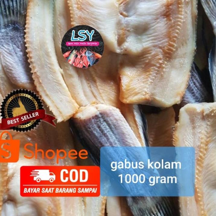 

☇ ikan asin gabus kolam size besar 1kg ►