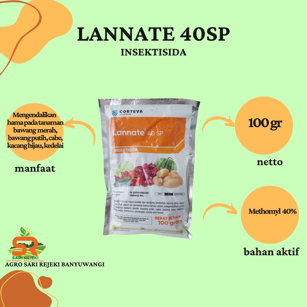 LANNATE 40SP 100GR INSEKTISIDA