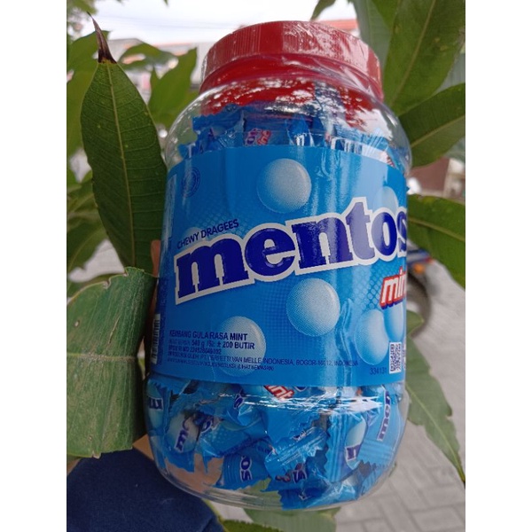 

permen mentos rasa mint isi 200pcs/toples halal