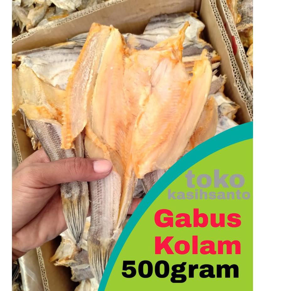 

֍ ikan asin gabus ,kolam-500gram ✶