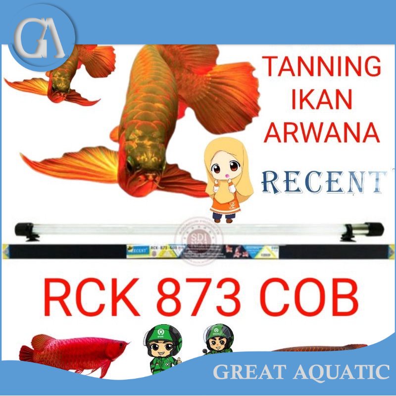 LAMPU TANNING AQUARIUM RECENT RCK 873 COB