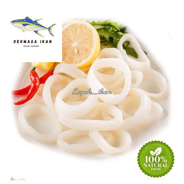 

Cumi Ring Kupas Segar 1~Kilogram