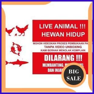 

tools STIKER LIVE ANIMAL UK 7.5 X 13 CM HEWAN HIDUP UNBOXING FRAGILE 1F3BZ3