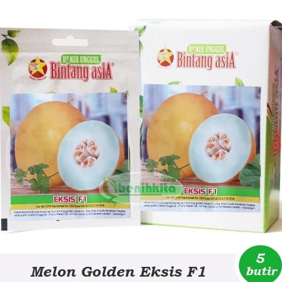 Benih-Bibit Melon Golden Eksis F1 (Bintang Asia)