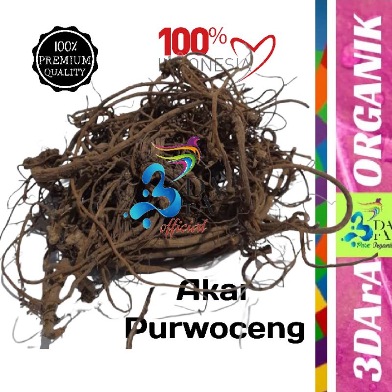

Akar Purwoceng - Akar Purwaceng Premium