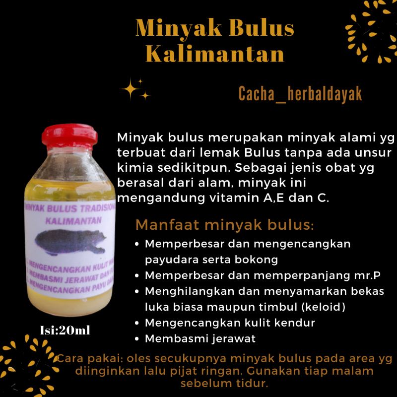 minyak bulus kalimantan, PEMBESAR PAYUDARA DAN PEMBESAR MR.P