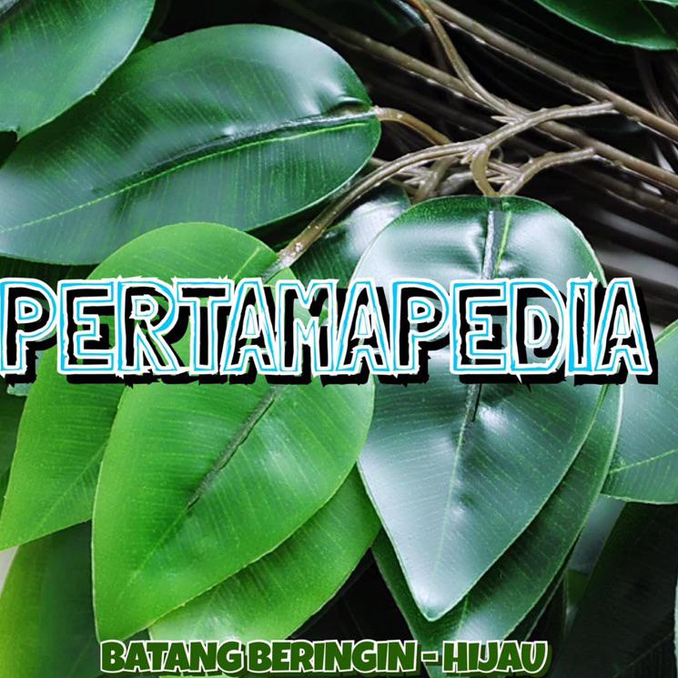➦ Lusinan Daun Batang Beringin Latex/Daun Plastik/Daun Hijau/Daun Hiasan/Daun Artificial/Daun Dekora
