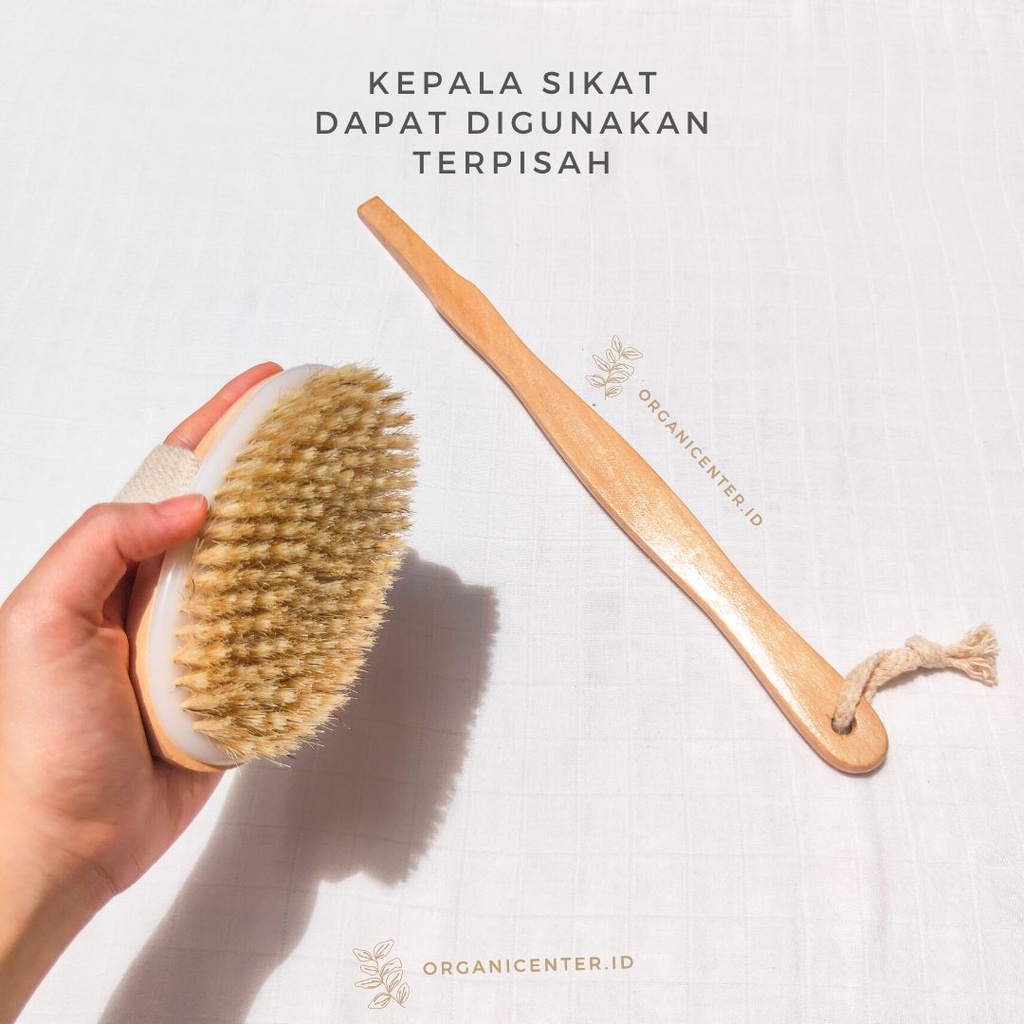 Sikat Punggung Bambu Natural Bristle Bamboo Back Brush Oval Head EcoFriendly Alami  Ramah Lingkungan Eksfoliasi Gosok Kuas Mandi Zero Waste Badan Spons Shower Puff