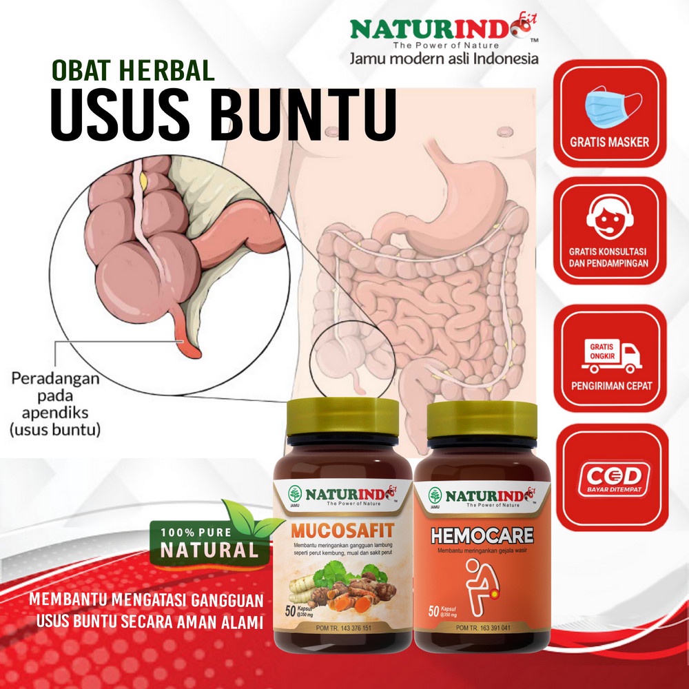 Obat Herbal Usus Buntu Sembelit Obat Usus Buntu Ampuh Tanpa Operasi 100% Herbal Alami HEMOCARE MUCOS