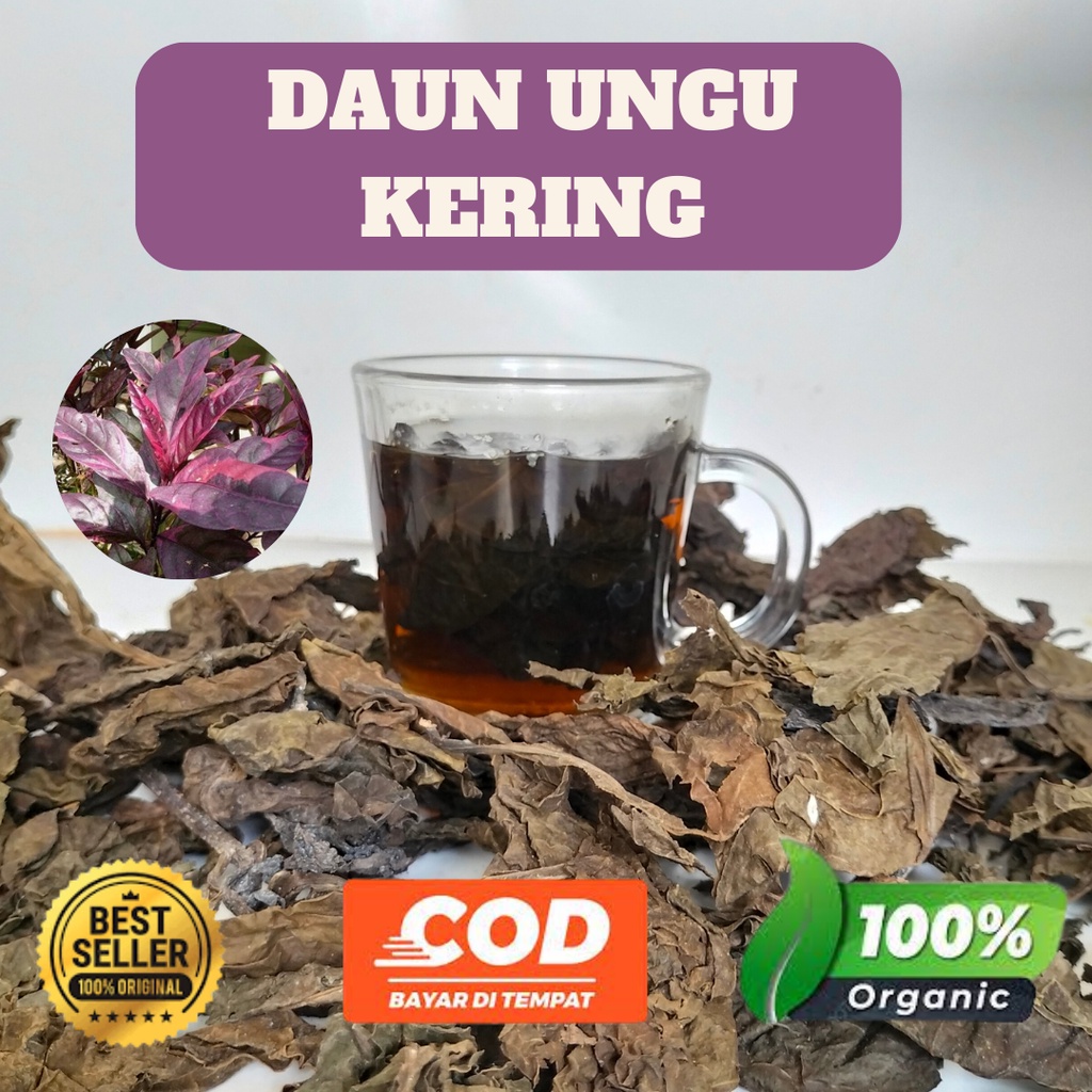 Daun ungu kering untuk obat wasir/ambeien 100% ORIGINAL