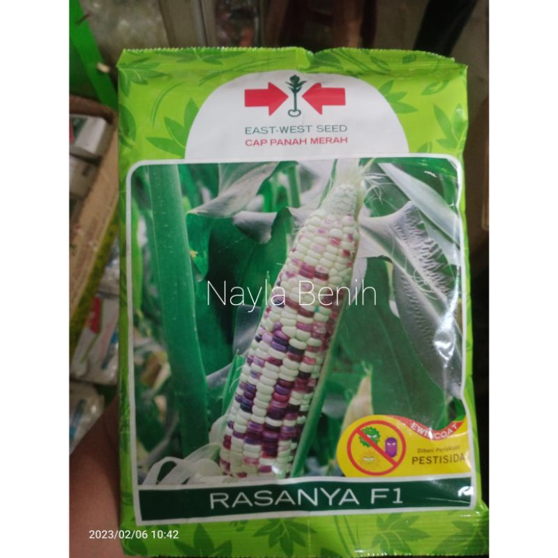 Benih Jagung Ketan RASANYA F1 kemasan 250 Gram