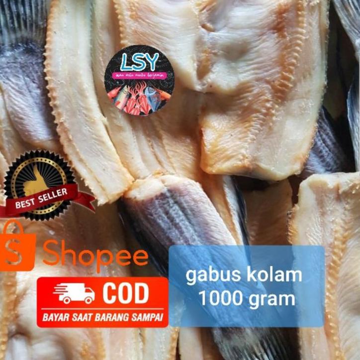 

► ikan asin gabus kolam size besar 1kg ✧