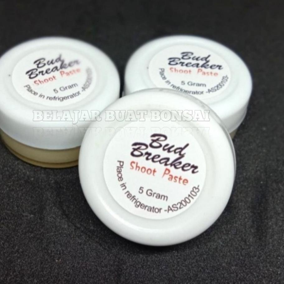 ➭ Bud Breaker 5 Gram Penumbuh Tunas Anggrek ►