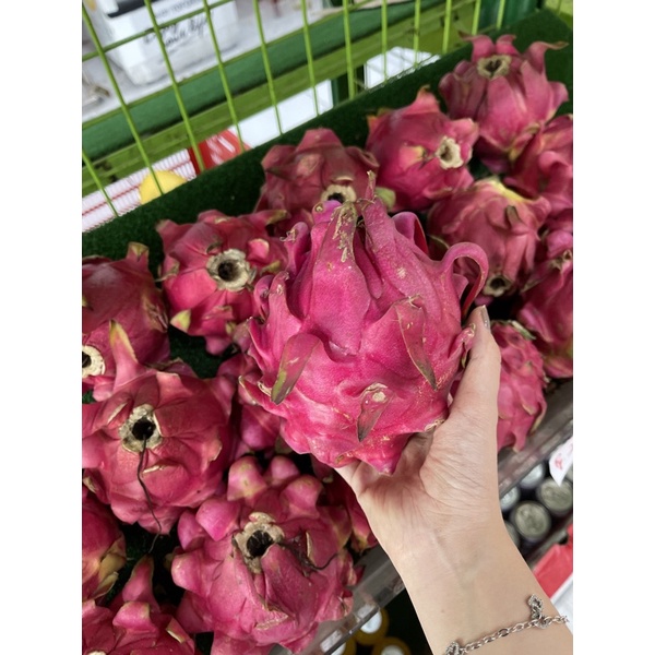 

buah naga merah ready stock berat 900-1000 g