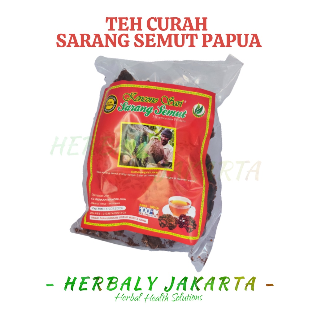 

Sarang Semut Papua Asli Kencono Sari