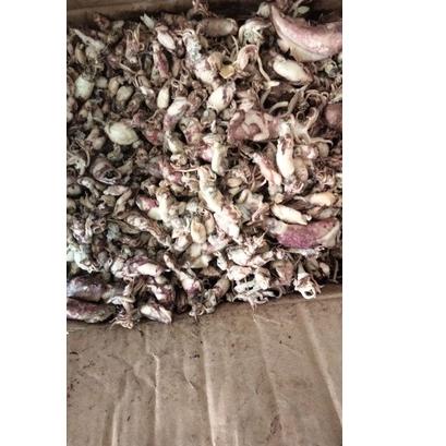 

♘ cumi asin 1kg ✪