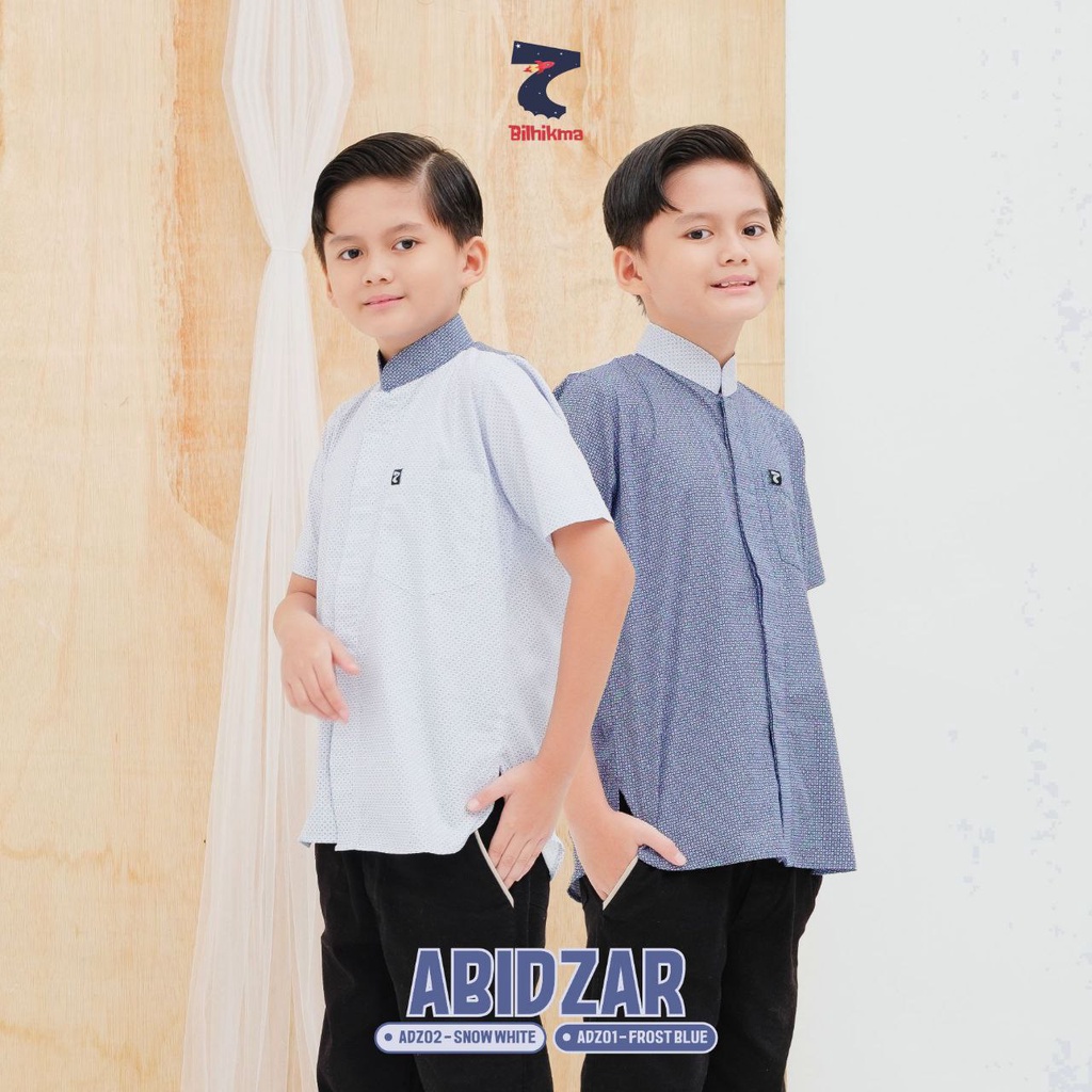 Baju Koko Abidzar Koko Anak Remaja Laki-laki Cowok dan Pria Dewasa