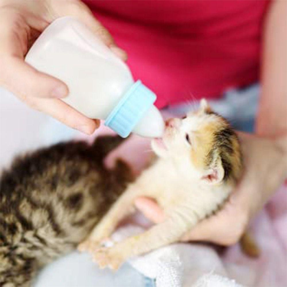 [Elegan] Botol Susu Pet Portabel 120ml Dengan Skala Rumah Tangga Silikon Tahan Gigit Kitten Nipple Bottle